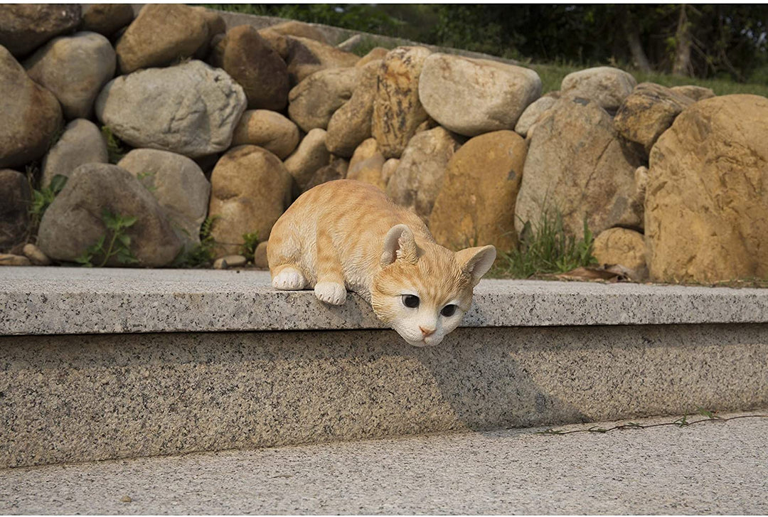 Cat Looking Over Ledge Orange Tabby