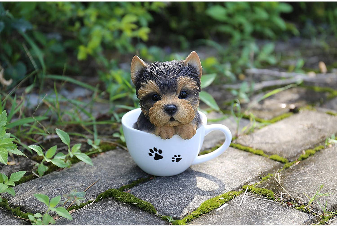 Teacup Yorkshire Terrier Puppy Statue