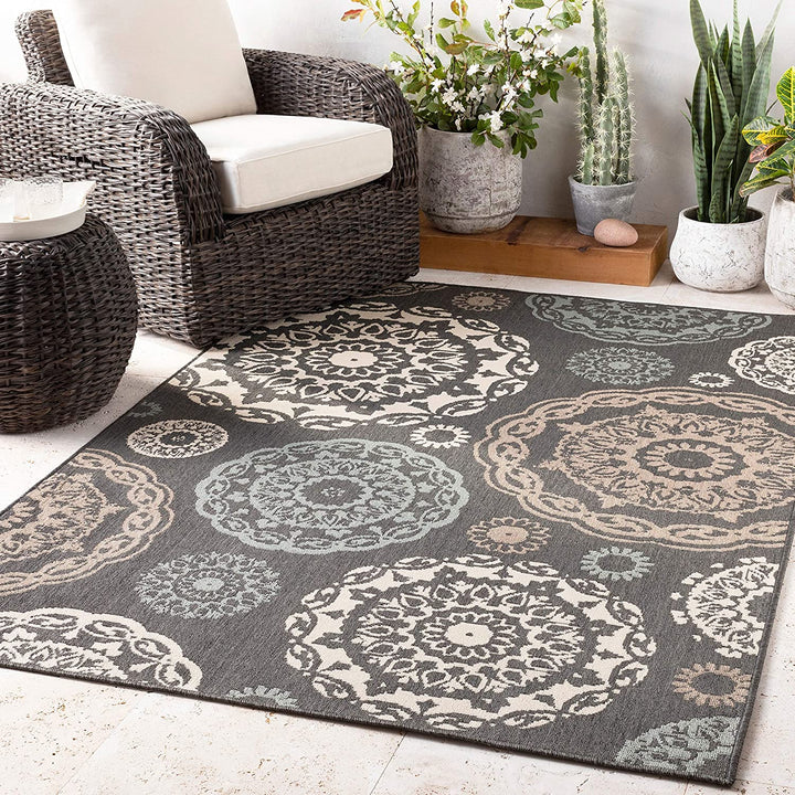 Transitional Indoor/Outdoor Area Rug 3'7" X 5'7" Black