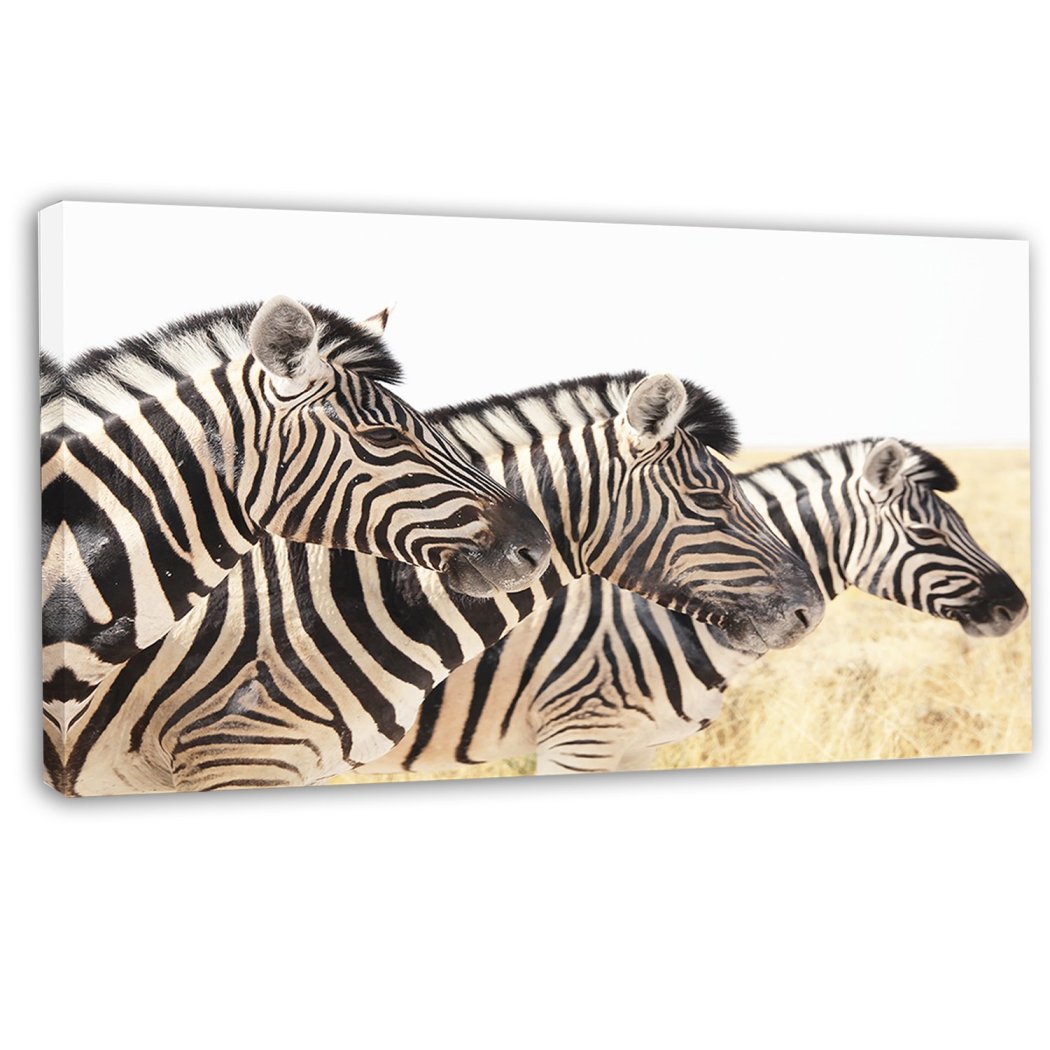 Zebra Pattern Wall Art Rectangle Zoo Animal Theme Hanging Picture French Country Themed Painting Geometric Striped Zebras Wood