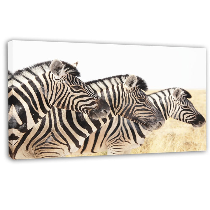 Zebra Pattern Wall Art Rectangle Zoo Animal Theme Hanging Picture French Country Themed Painting Geometric Striped Zebras Wood