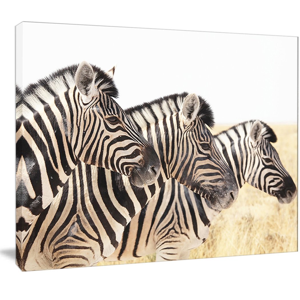 Zebra Pattern Wall Art Rectangle Zoo Animal Theme Hanging Picture French Country Themed Painting Geometric Striped Zebras Wood