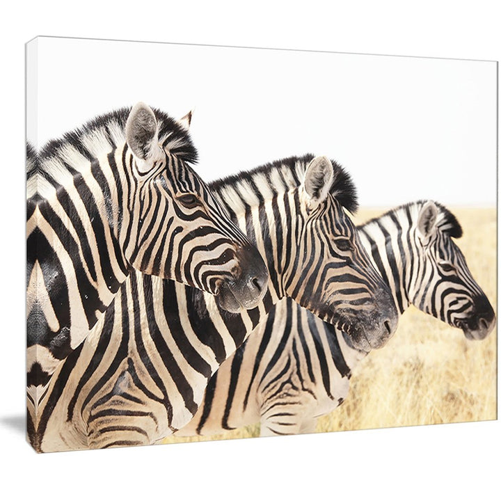 Zebra Pattern Wall Art Rectangle Zoo Animal Theme Hanging Picture French Country Themed Painting Geometric Striped Zebras Wood