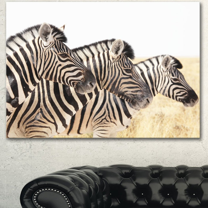 Zebra Pattern Wall Art Rectangle Zoo Animal Theme Hanging